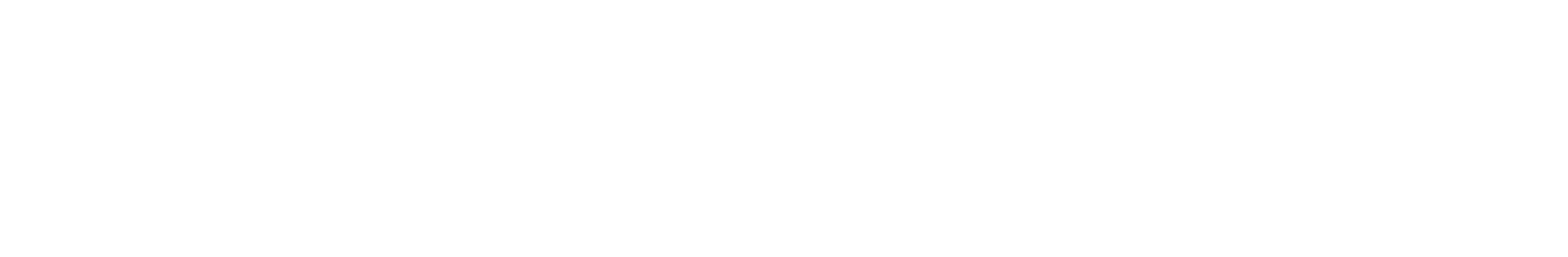 Magabro Dev